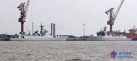 lipa青蛙数数游戏下载